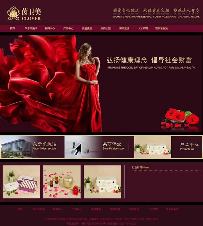 网站
